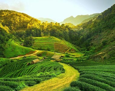 Assam Tourism - TravelCraft