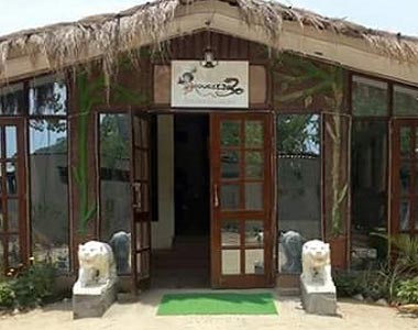 Dudhwa Jungle Tourism - TravelCraft