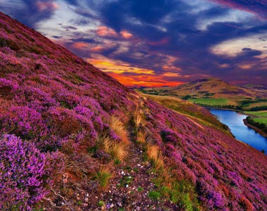 Valley Of Flowers Tourism - TravelCraft